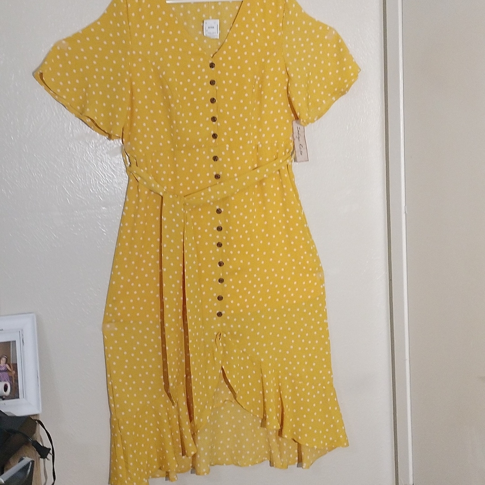 Dress brand Indigo Rose, size XL Dress